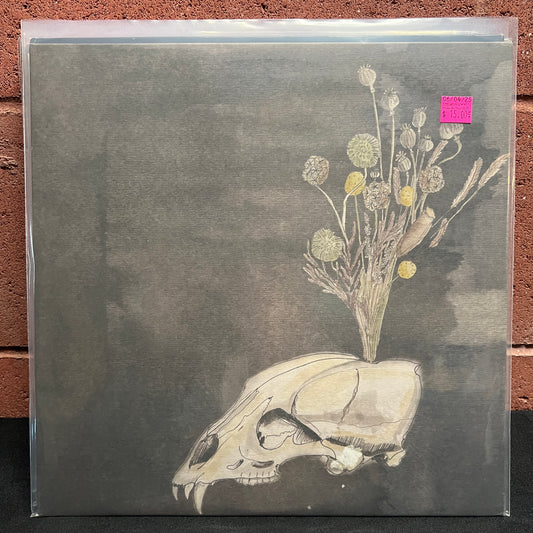 Used Vinyl: Steve Gunn and Black Twig Pickers "Seasonal Hire" LP