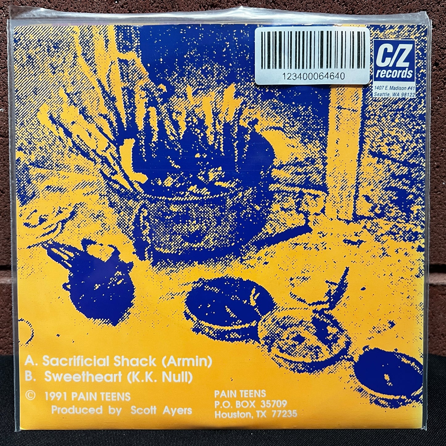 Used Vinyl: Pain Teens "Sacrificial Shack" 7"