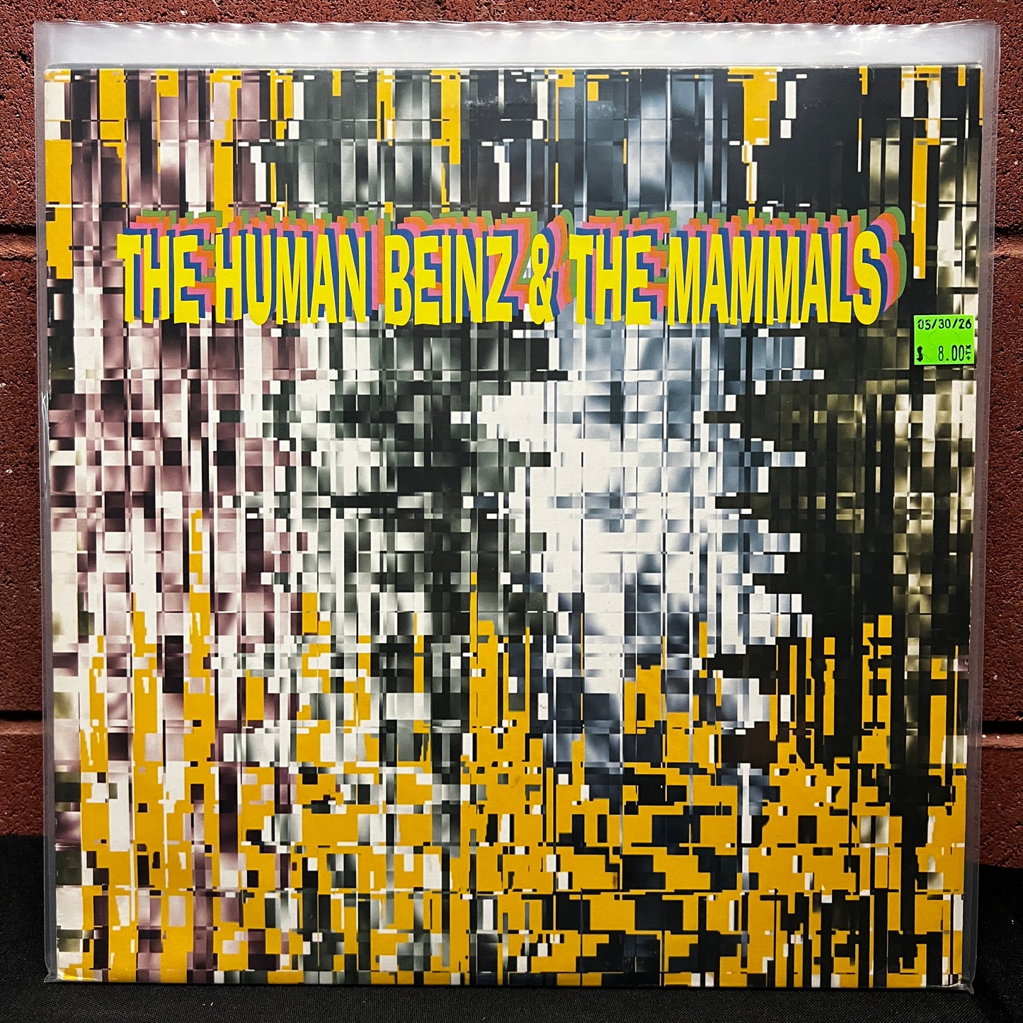 Used Vinyl: The Human Beinz & The Mammals "Split" LP (1999 180g Italian Press)