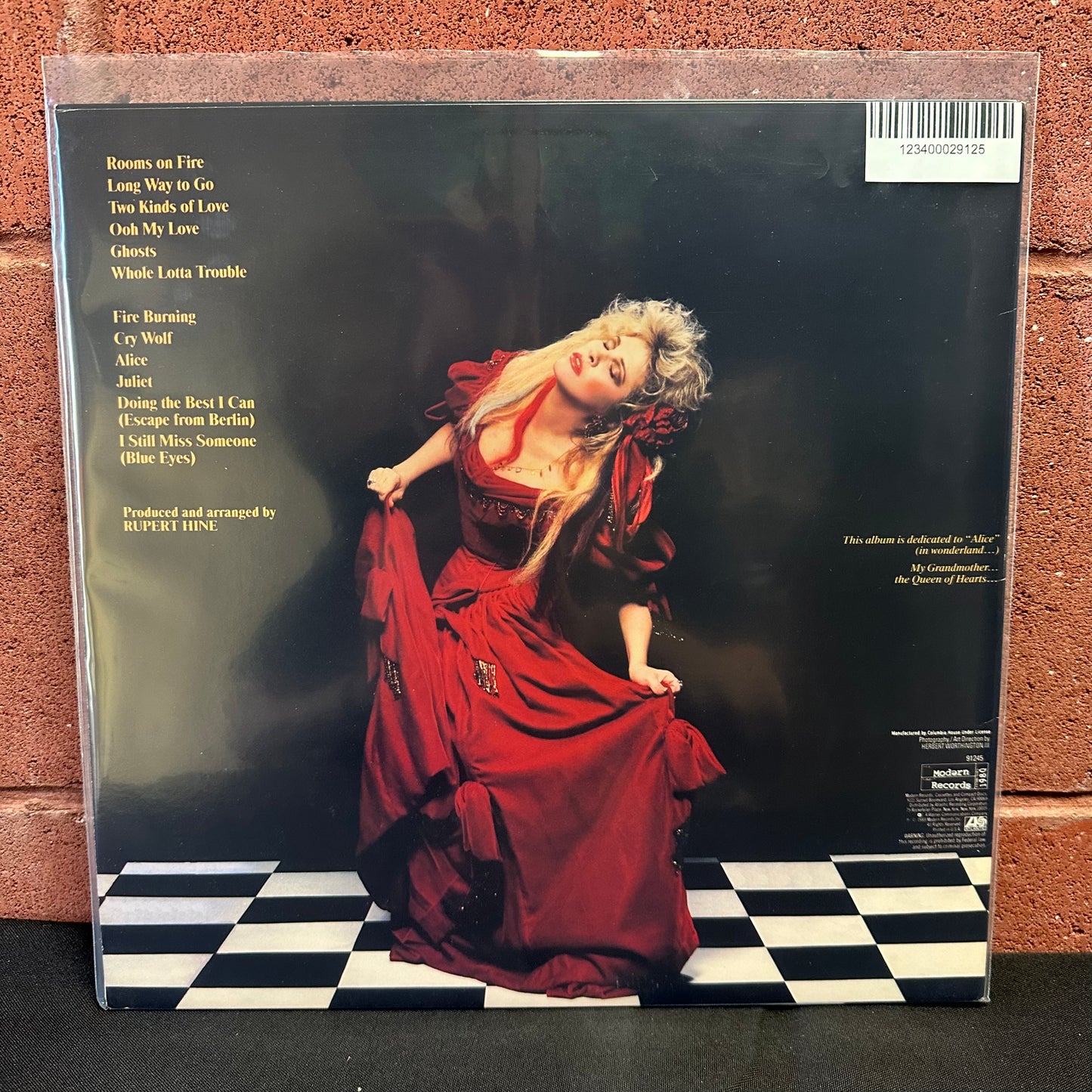 Used Vinyl:  Stevie Nicks ”The Other Side Of The Mirror” LP