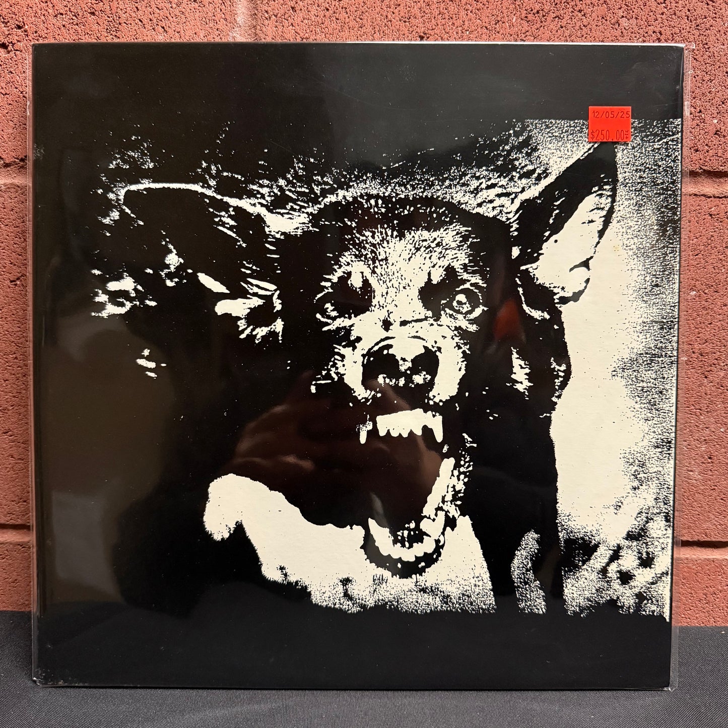 Used Vinyl: The Execute "Save Your Money" LP (1988 Japanese Press)