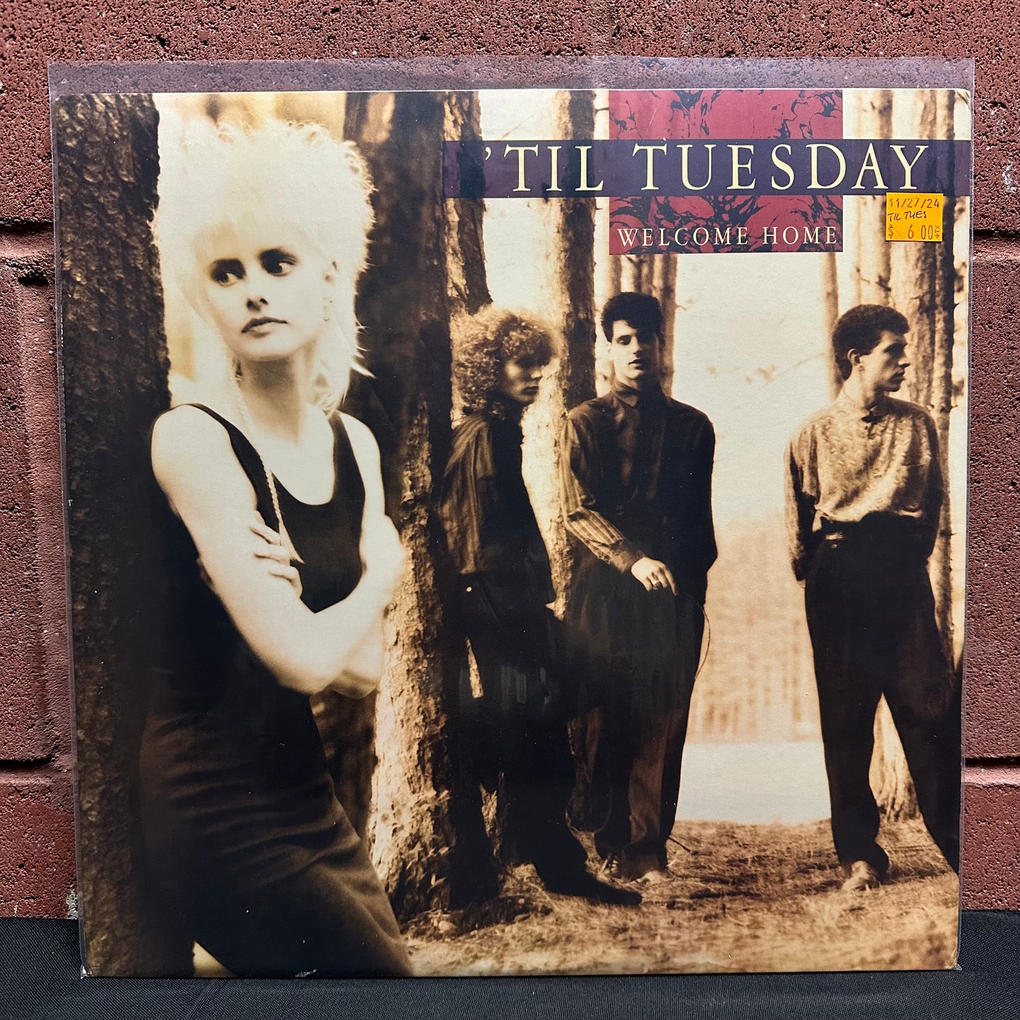 Used Vinyl:  'Til Tuesday ”Welcome Home” LP