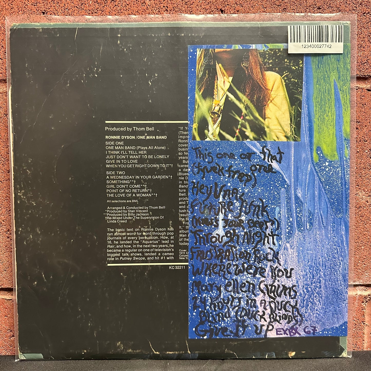 Used Vinyl:  Tyvek ”Skyin” LP