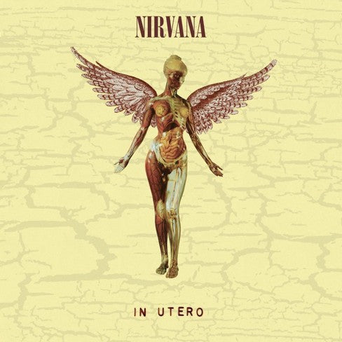 Nirvana "In Utero" LP+10" (30th Anniversary Edition)