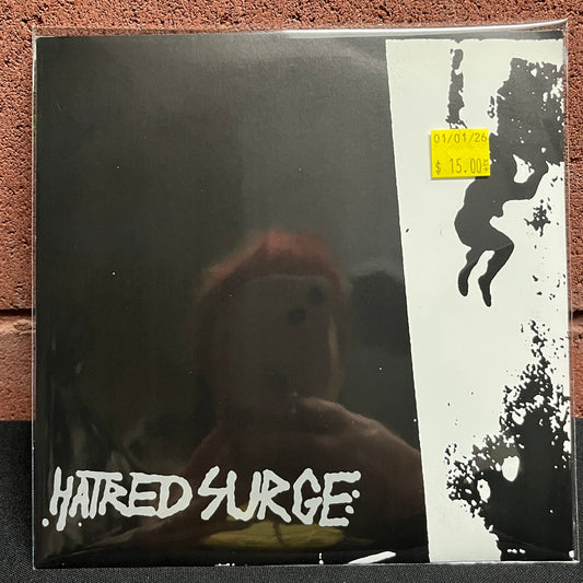Used Vinyl: Hatred Surge "Hatred Surge" 7"