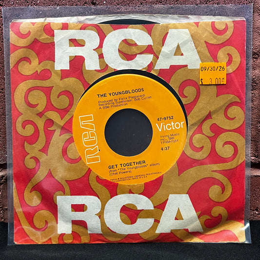 Used Vinyl: Youngbloods "Get Together / Beautiful" 7"
