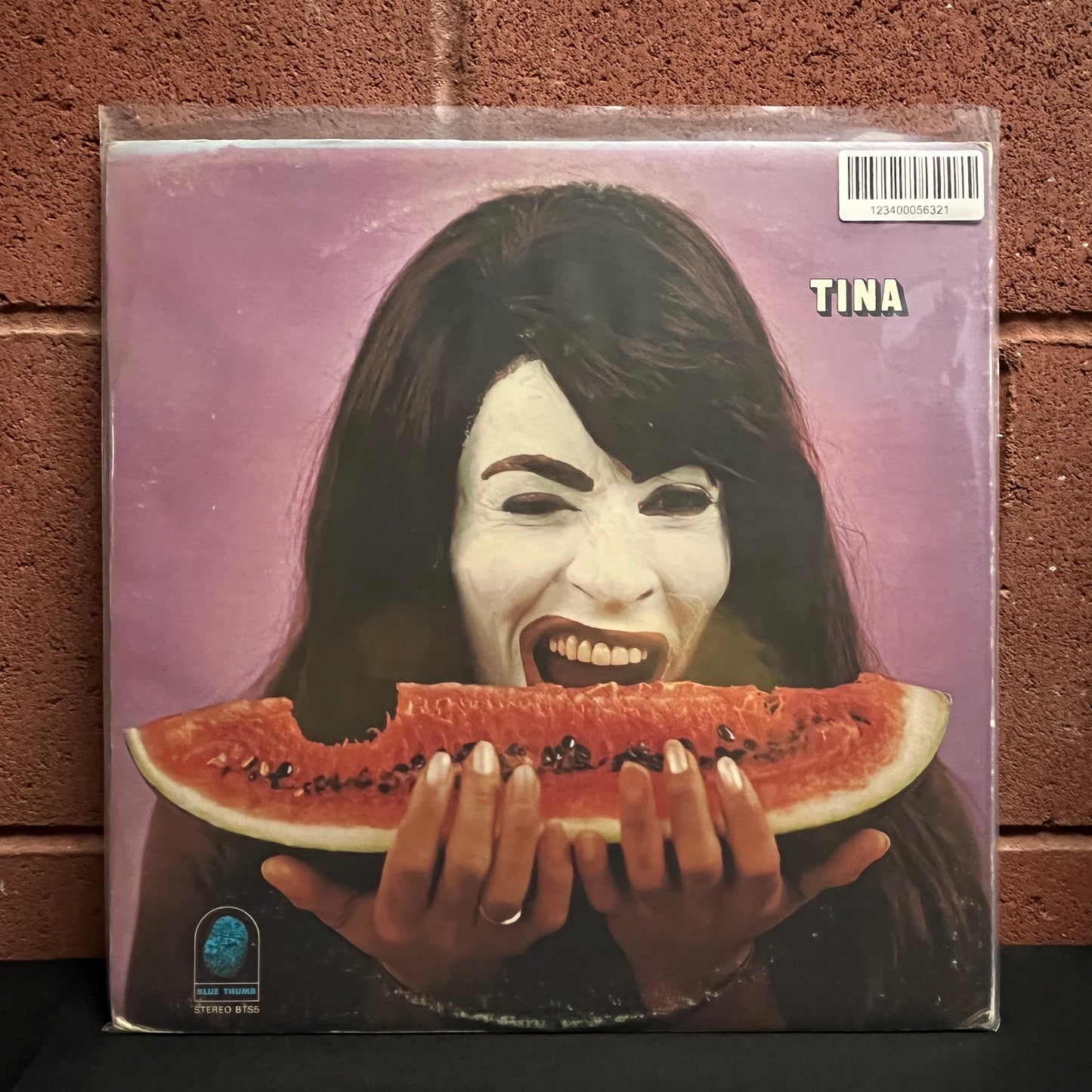 Used Vinyl: Ike & Tina Turner "Outta Season" LP