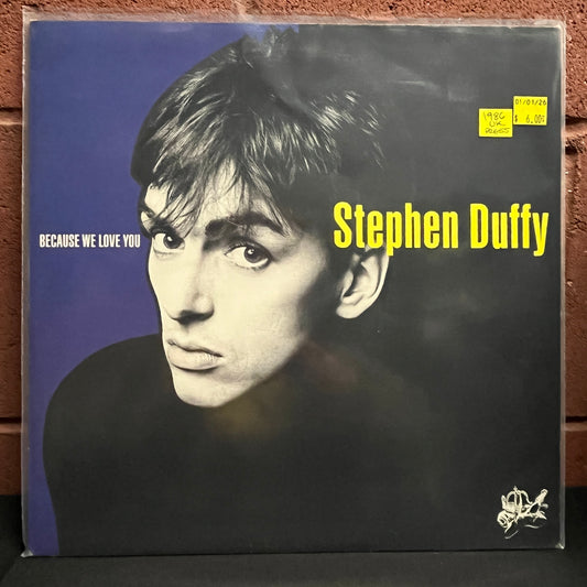 Used Vinyl: Stephen Duffy "Because We Love You" LP (1986 UK Press)