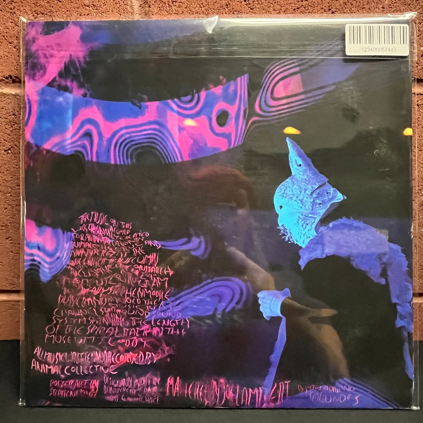Used Vinyl: Animal Collective "Transverse Temporal Gyrus" LP (2012 Press)