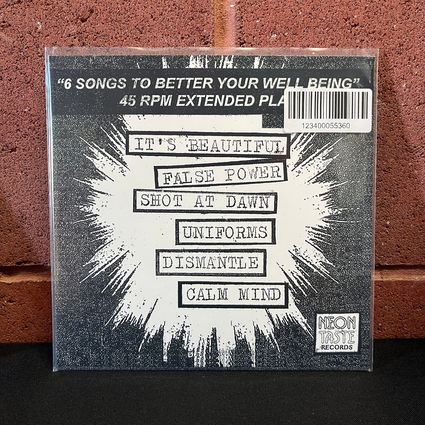 Used Vinyl: Bootlicker ‎"How To Love Life" 7"