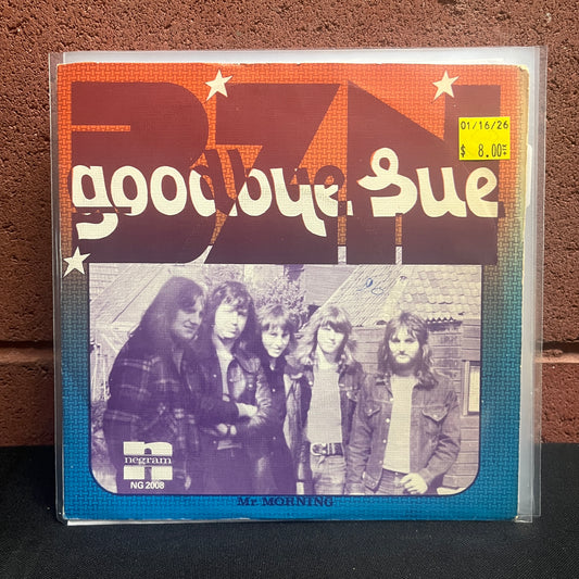 Used Vinyl: Goodbye Sue "Mr. Morning" 7" (1975 Euro Press)