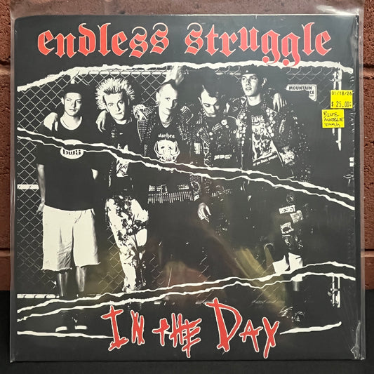 Used Vinyl: Endless Struggle "In The Day" LP (2000 Press - Blue Marble Vinyl)