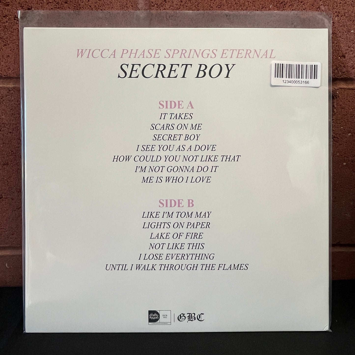 Used Vinyl: Wicca Phase Springs Eternal "Secret Boy" LP