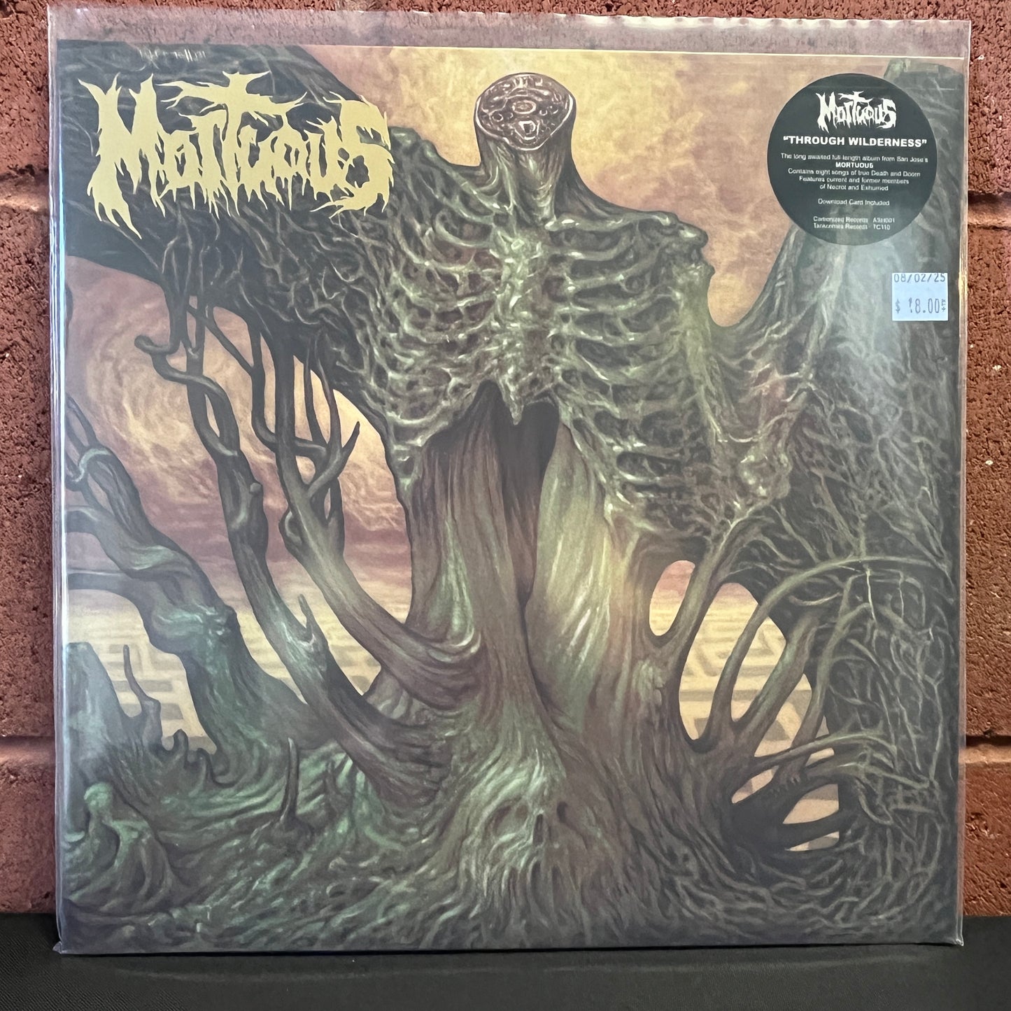 Used Vinyl: Mortuous "Through Wilderness" LP