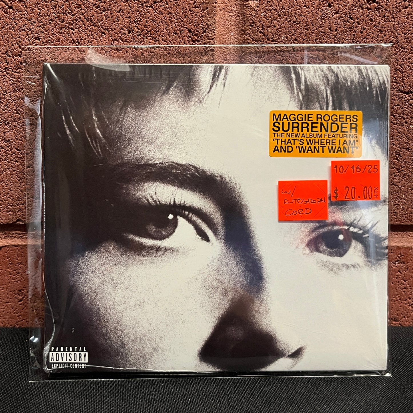 Used CD: Maggie Rogers "Surrender" CD (Sealed w/Autographed Card!)