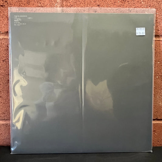 Used Vinyl: Aphex Twin "Computer Controlled Acoustic Instruments Pt2" 12" EP