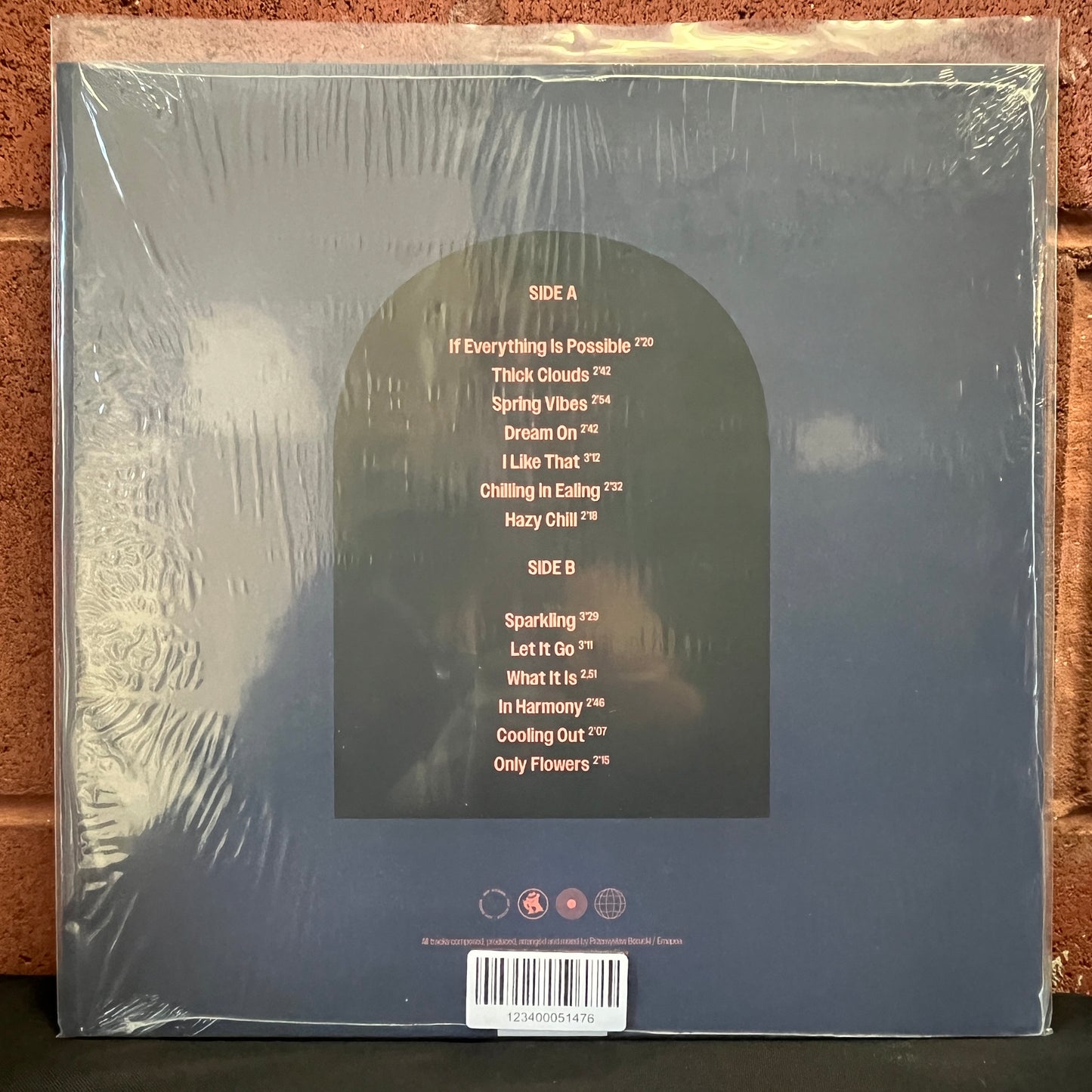 Used Vinyl: Emapea ‎"Dreaming Zone" LP