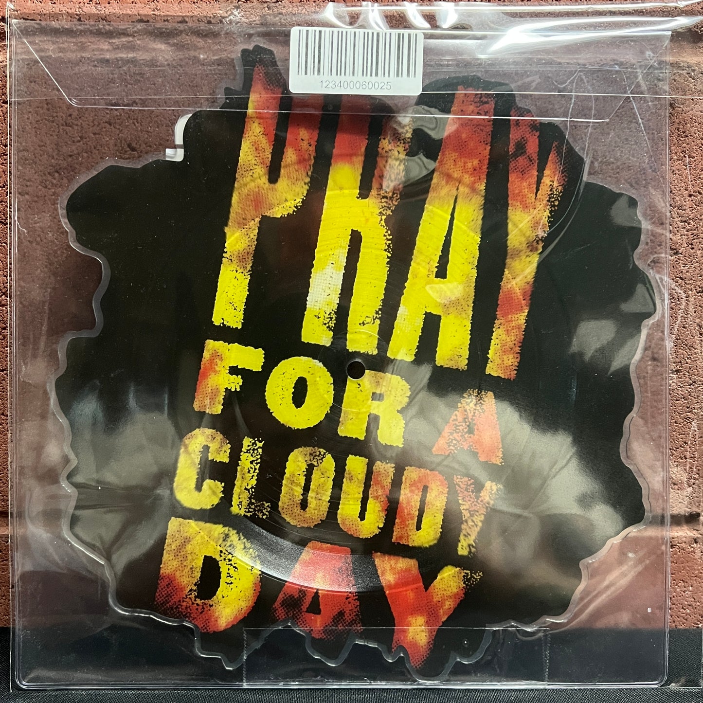 Used Vinyl: Anti-Flag "Sky Is Falling" 10" (Shaped Picture Disc)