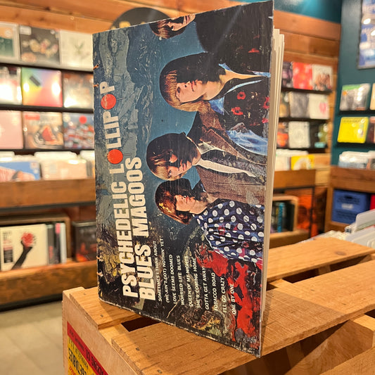 Blues Magoos Recycled Vinyl Sleeve Journal