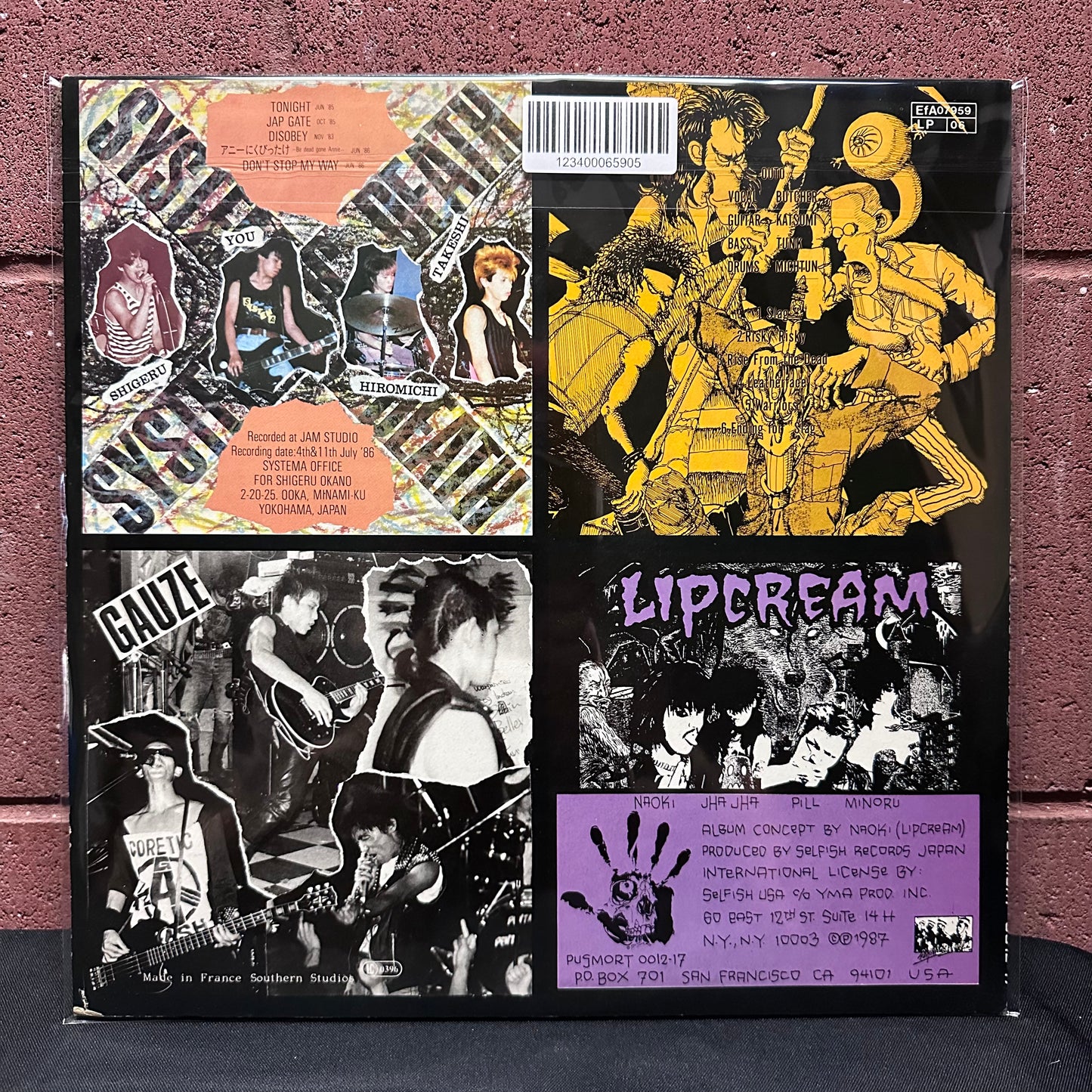 Used Vinyl: V/A "Thrash Til Death" LP (1987 US Issue w/ Gauze, Lip Cream, Outo, Systematic Death)