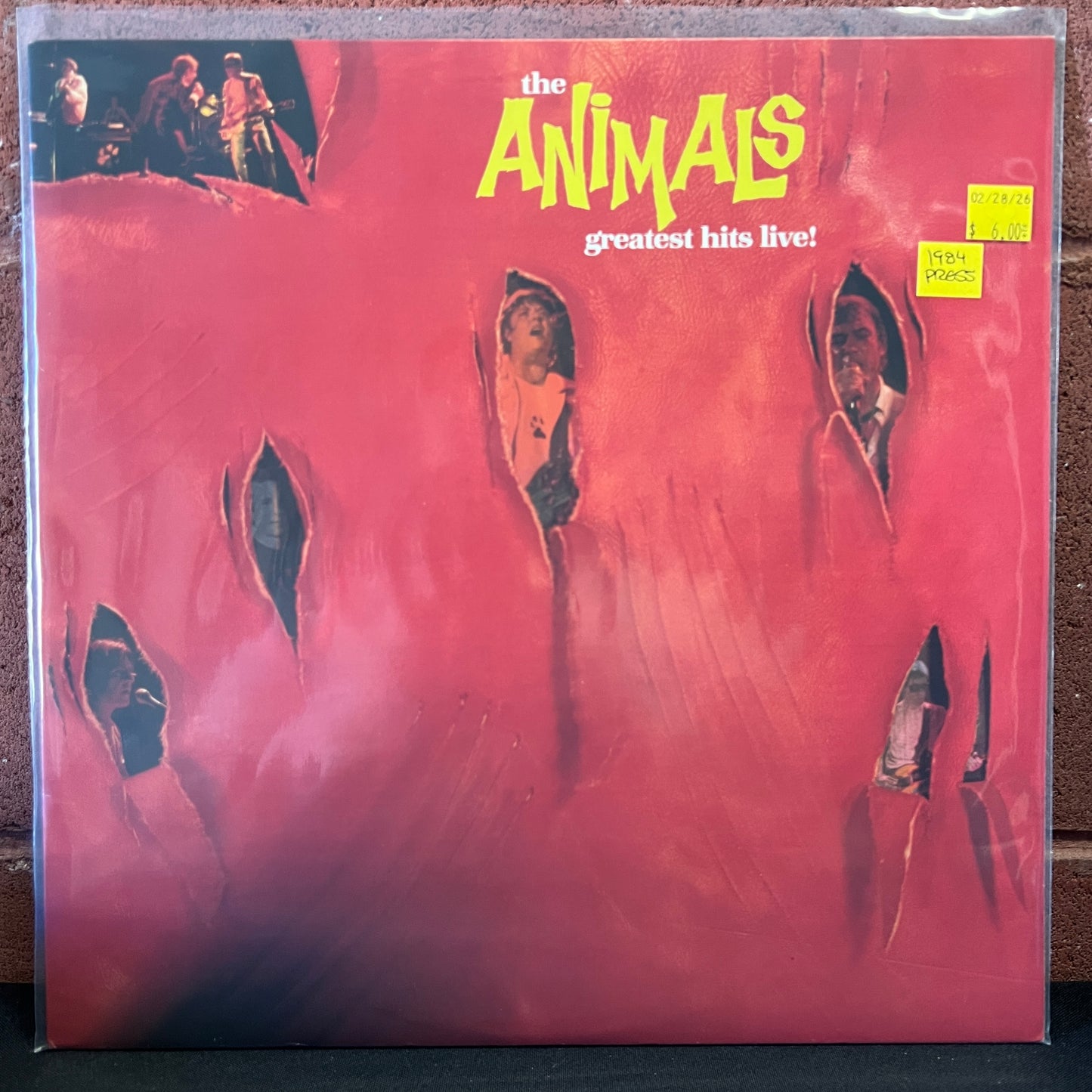 Used Vinyl: The Animals ‎"Greatest Hits Live!" LP (1984 Press)