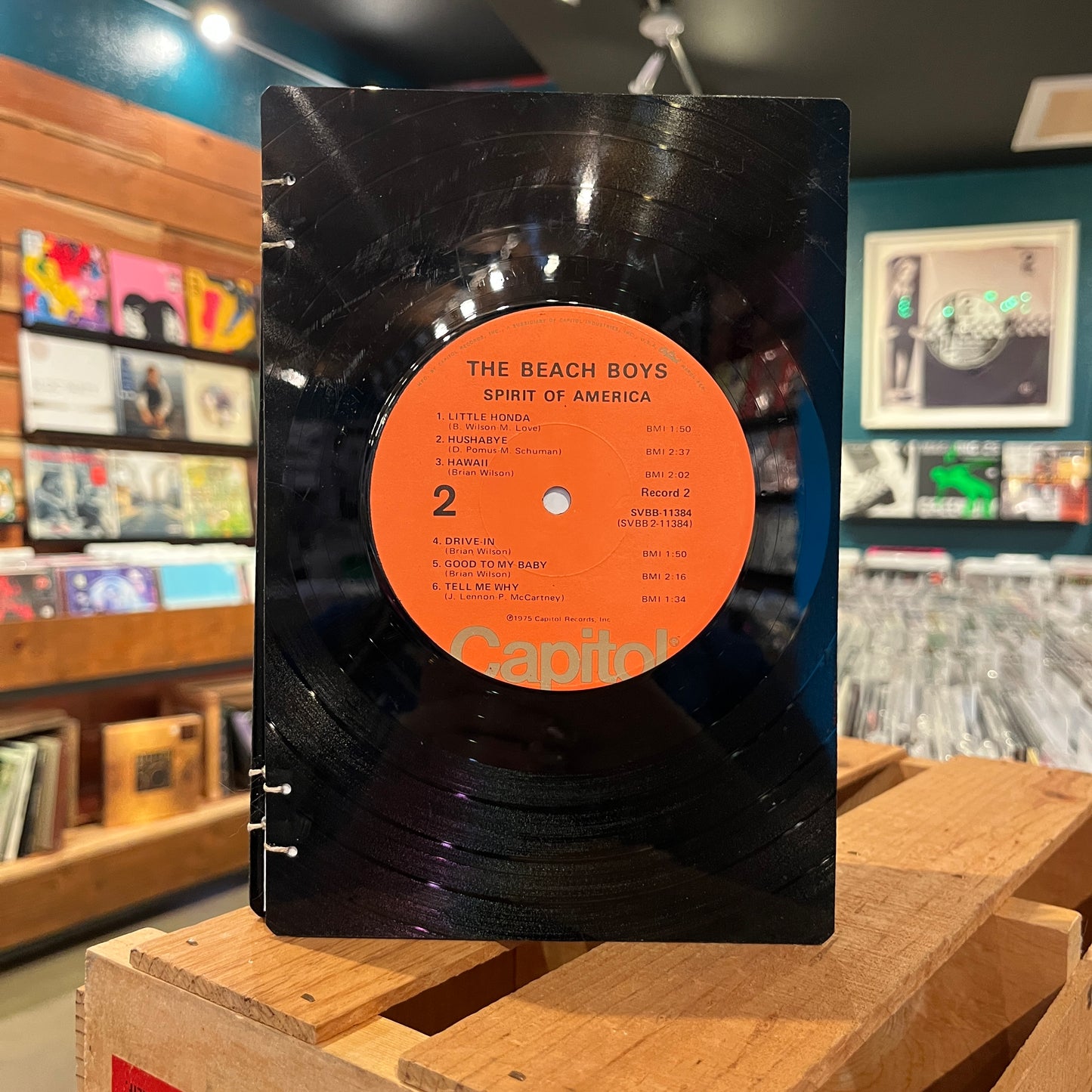 The Beach Boys Recycled Vinyl Journal