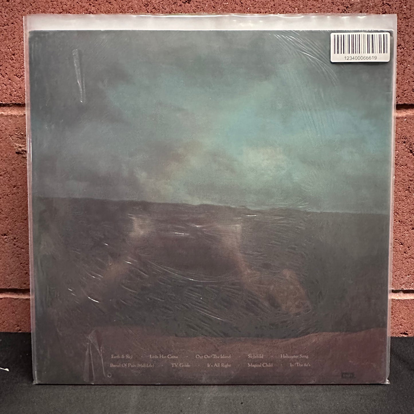 Used Vinyl: Graham Nash ‎"Earth & Sky" LP (1980 Press)