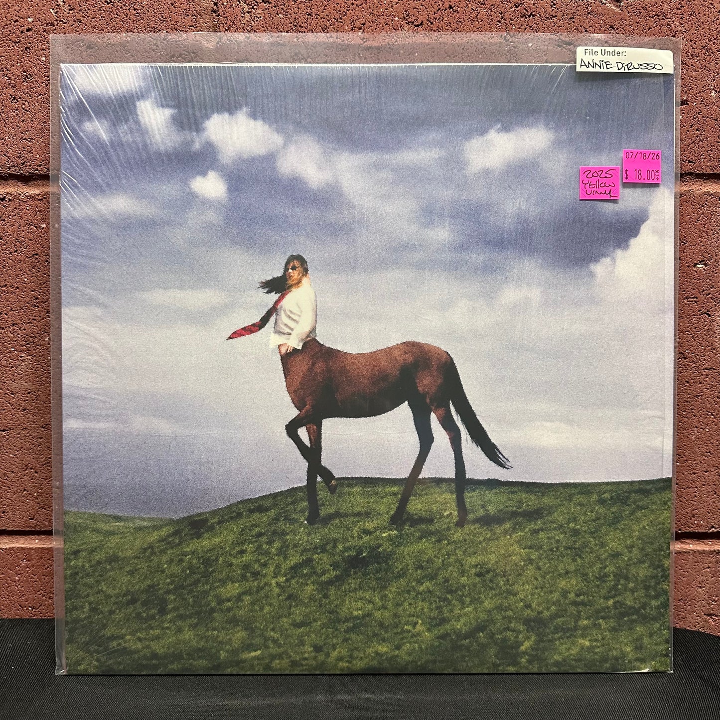 Used Vinyl: Annie DiRusso "Super Pedestrian" LP (2025 Press - Yellow Vinyl)