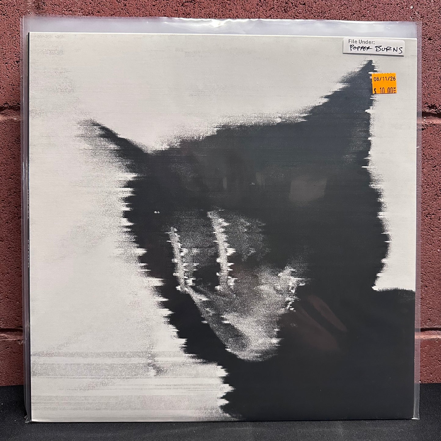 Used Vinyl: Popper Burns "Pure Disgust" LP
