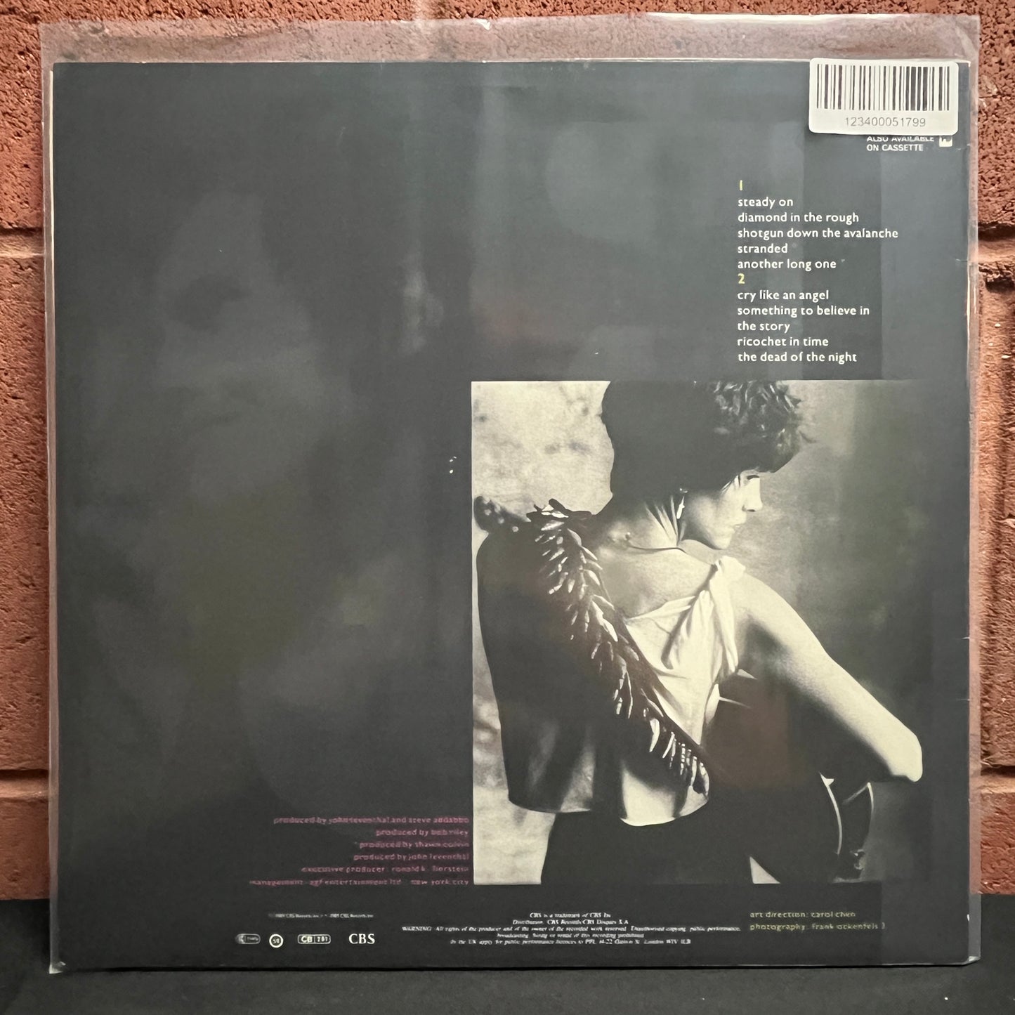 Used Vinyl: Shawn Colvin "Steady On" LP