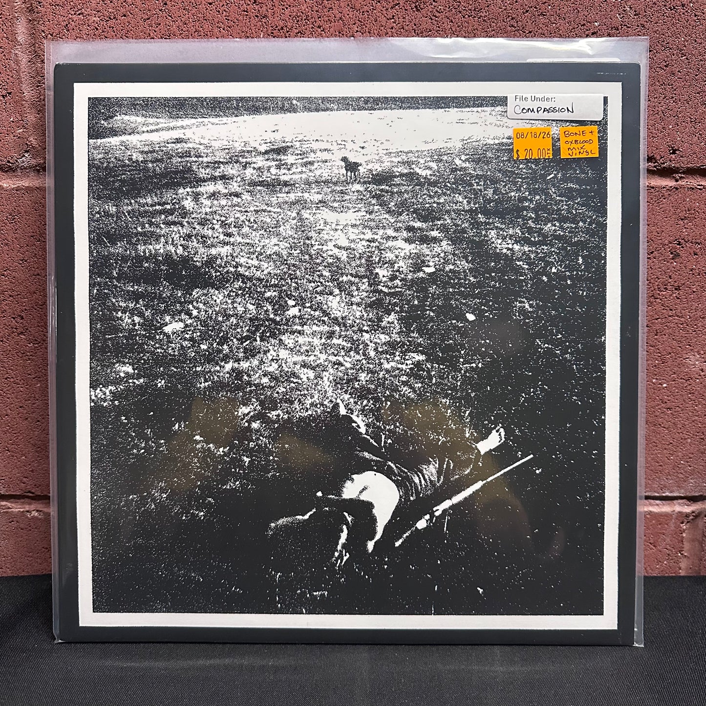Used Vinyl: Compassion "Pacing Animal" LP (Single Sided, colored vinyl)