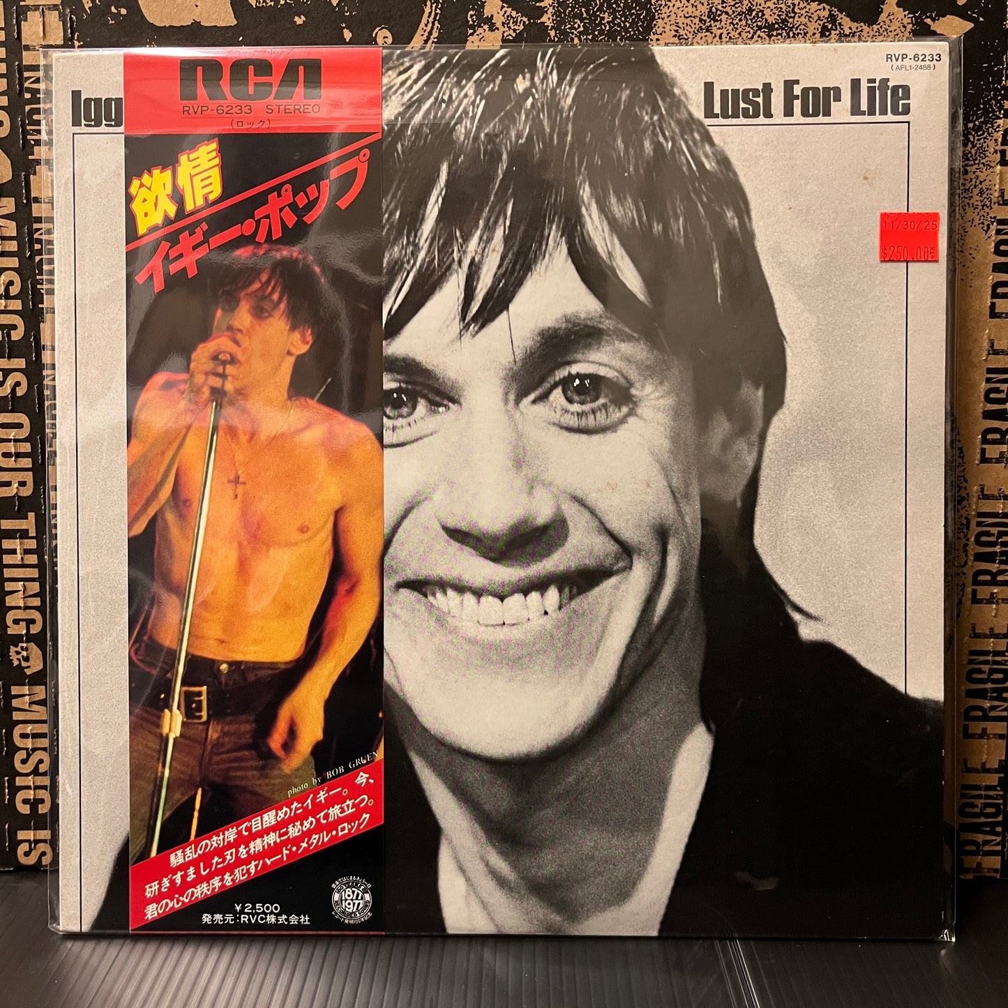 Used Vinyl: Iggy Pop "Lust For Life" LP (Japanese Press)