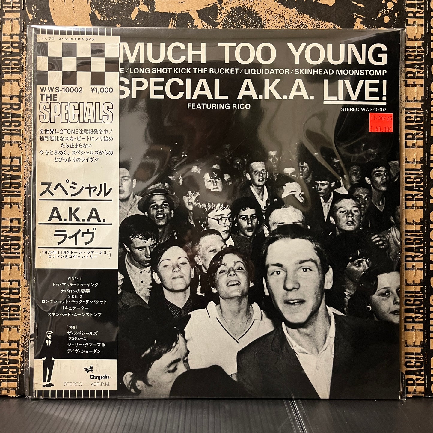 Used Vinyl: The Specials "Too Much Too Young" 12 EP (Japanese Press)