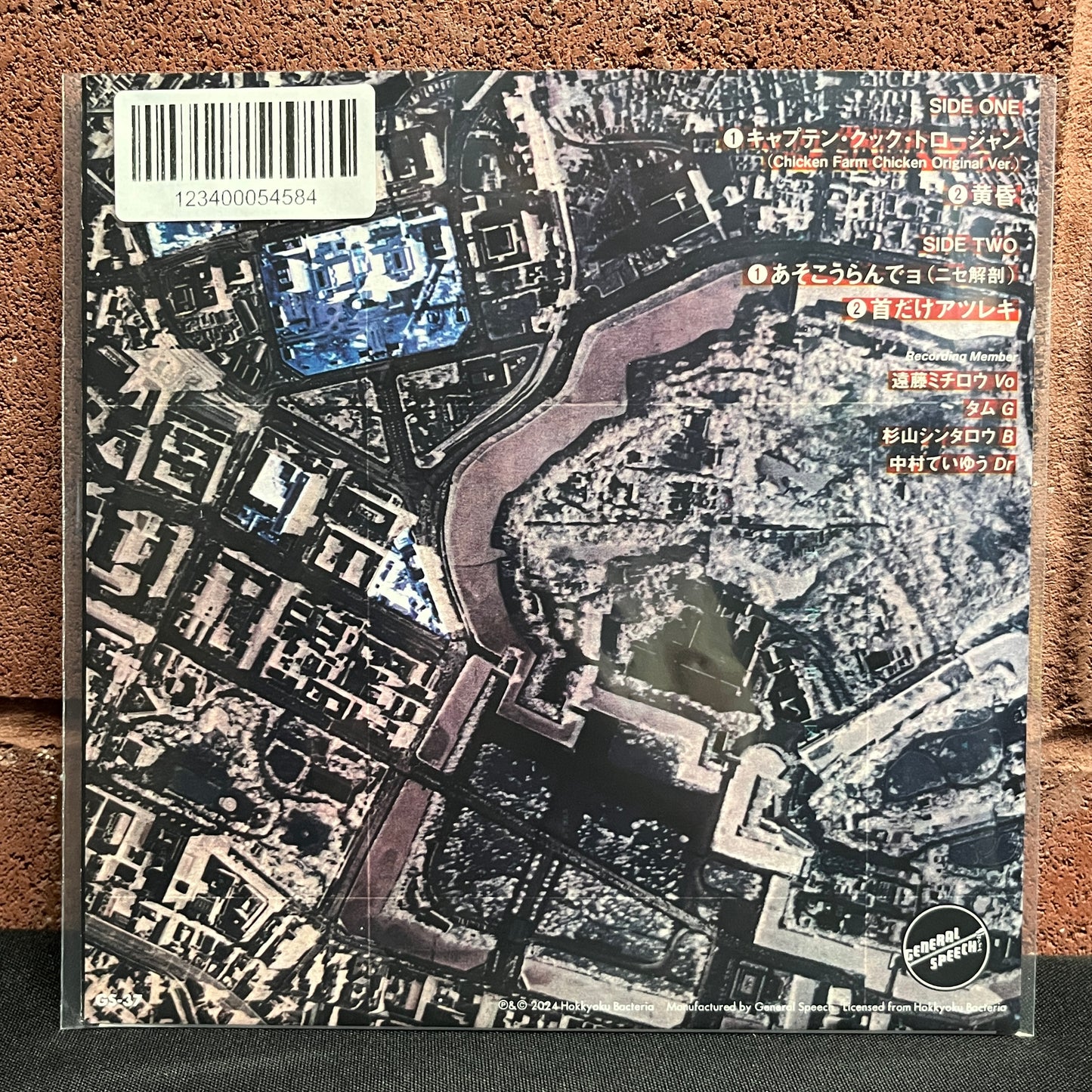 Used Vinyl: The Stalin "Kubi Dake Atsureki" 7"