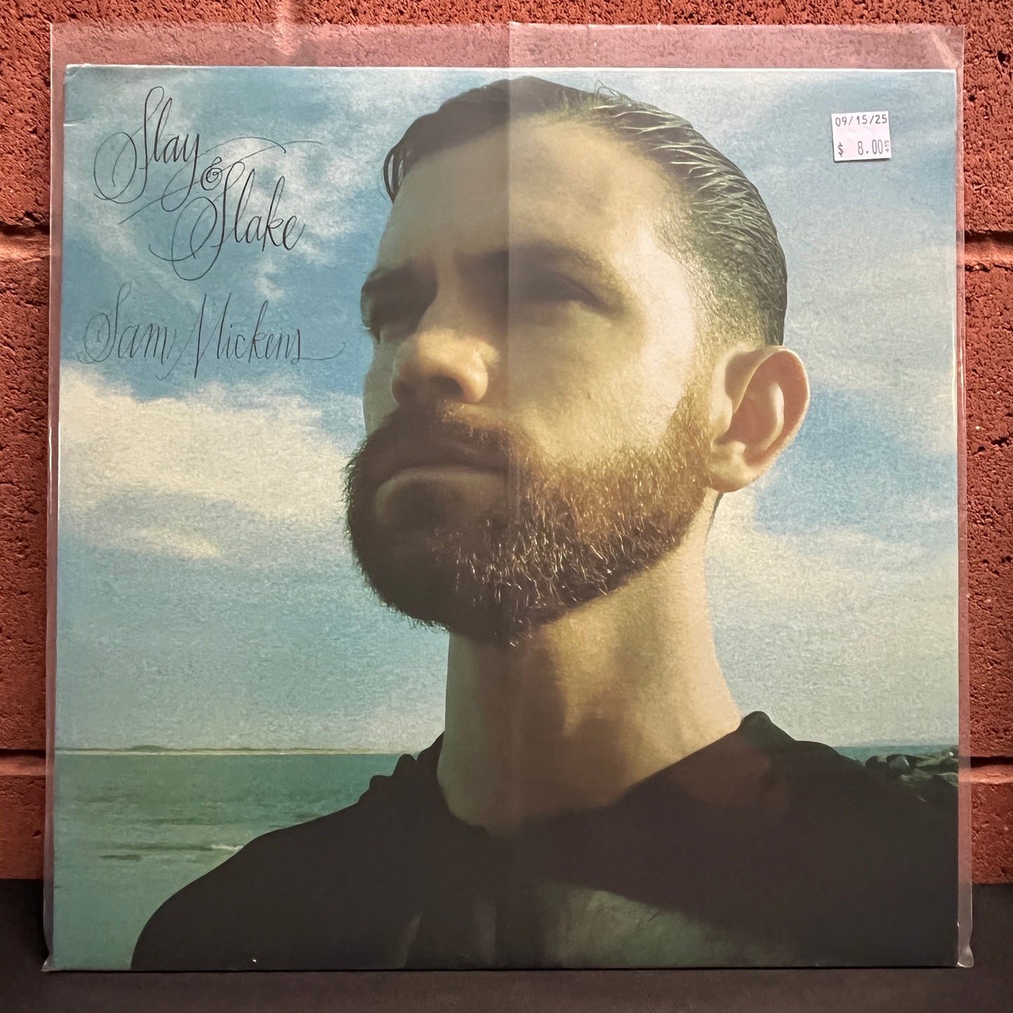 Used Vinyl: Sam Mickens "Slay and Slake" LP