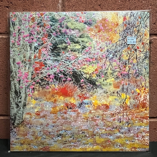 Used Vinyl: Collider "-><-" LP