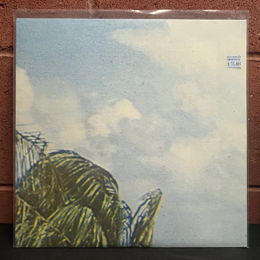 Used Vinyl: Hospitals "Hairdryer Peace" LP