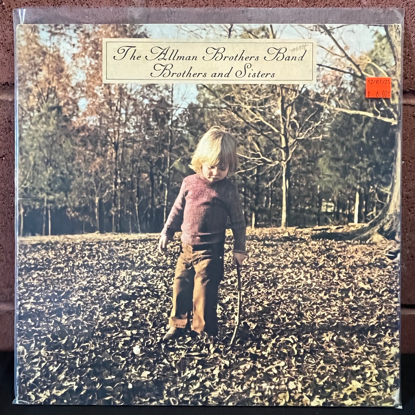 Used Vinyl: The Allman Brothers Band "Brothers And Sisters" LP (1973 Press)