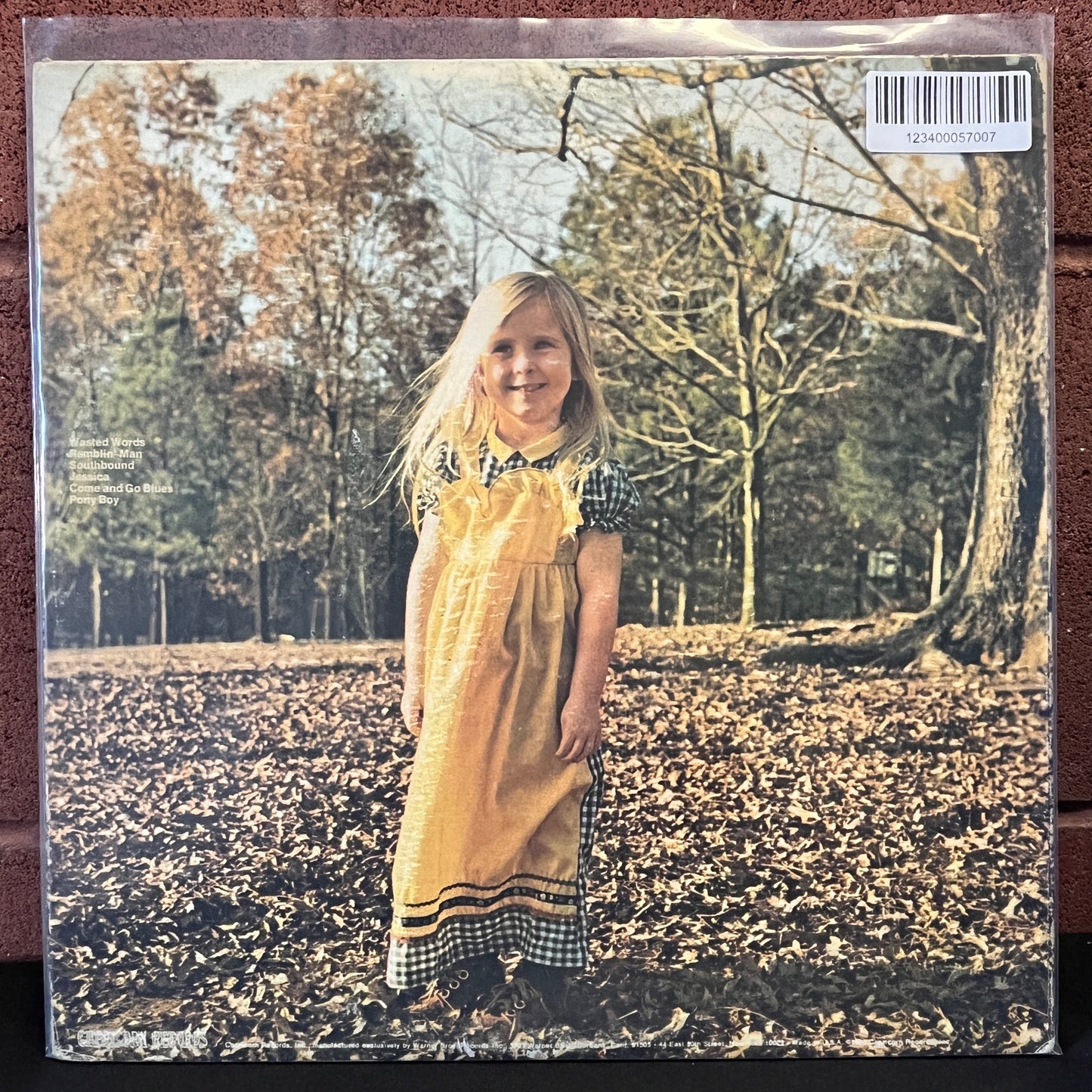 Used Vinyl: The Allman Brothers Band "Brothers And Sisters" LP (1973 Press)