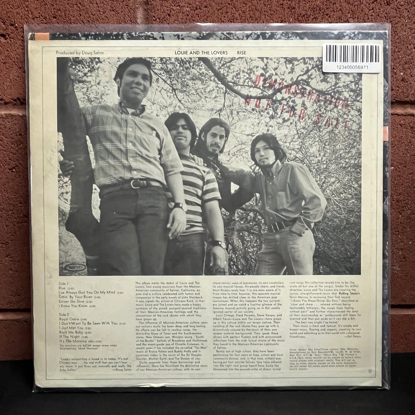 Used Vinyl: Louie And The Lovers "Rise" LP