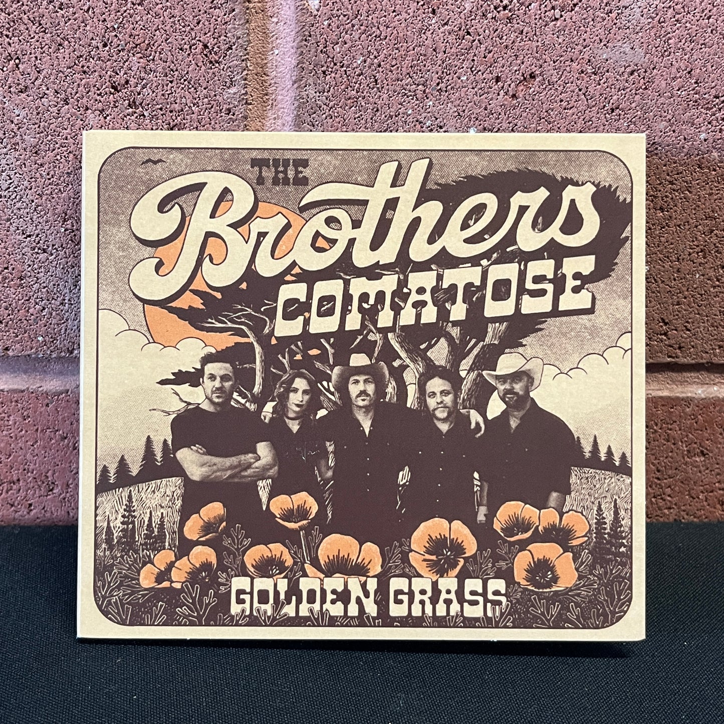 Used CD: The Brothers Comatose "Golden Grass" CD