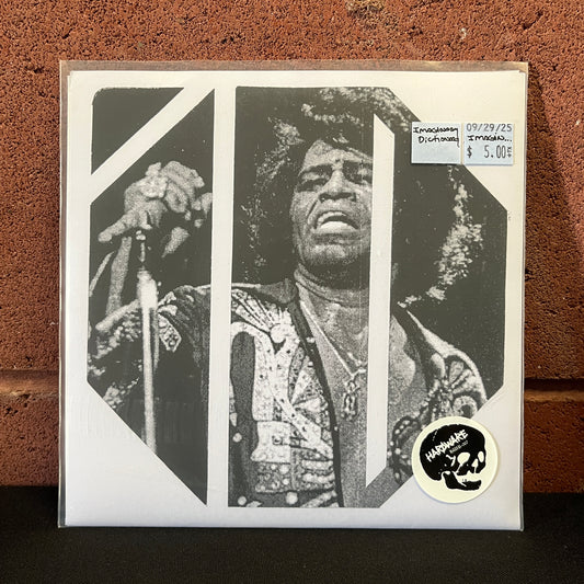 Used Vinyl: Imaginary Dictionary "James Brown Is Dead" 7"