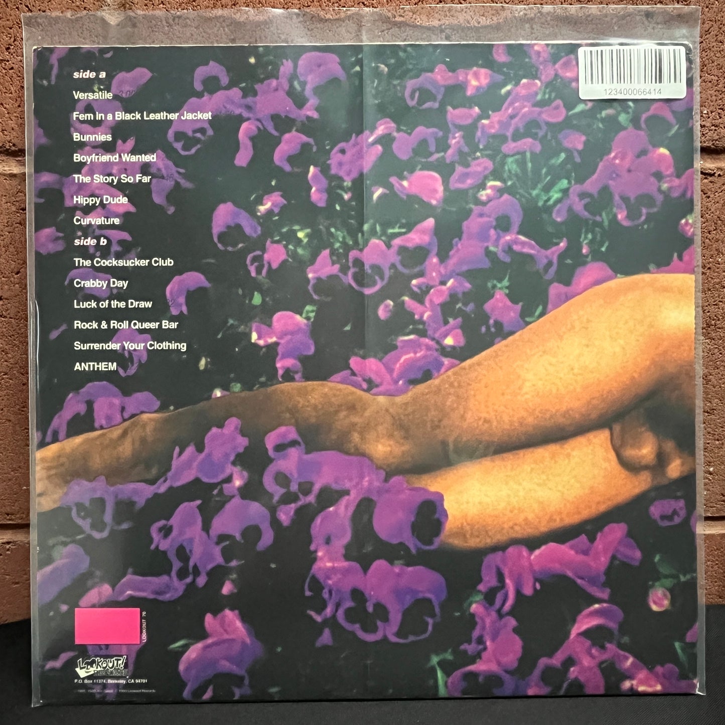 Used Vinyl: Pansy Division "Undressed" LP (1993 Press)