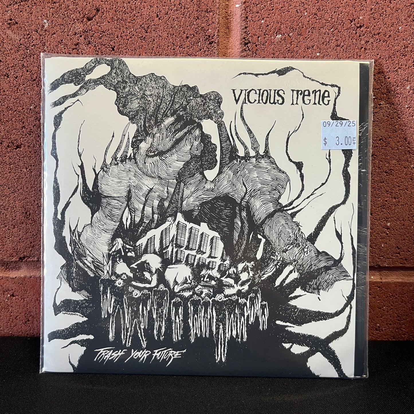Used Vinyl: Vicious Irene "Trash Your Future" 7"