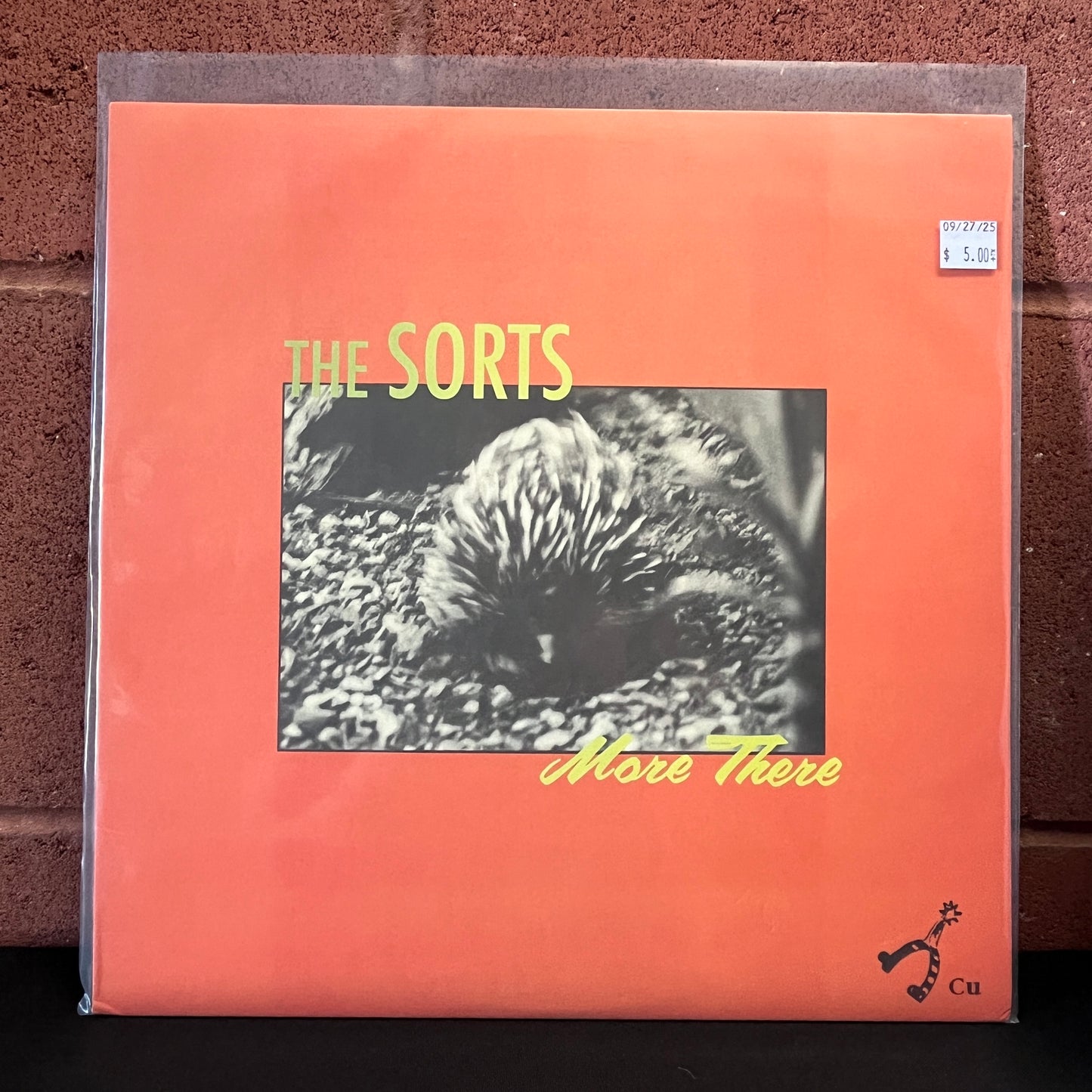 Used Vinyl: The Sorts "More There" LP