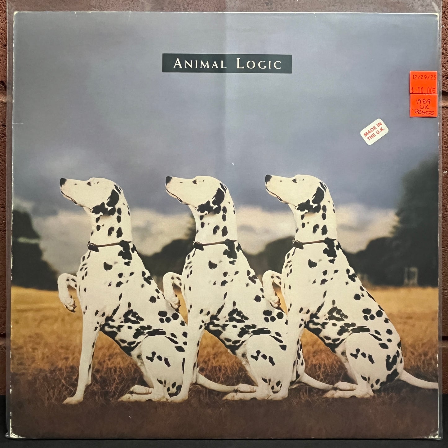 Used Vinyl: Animal Logic "S/T" LP (1989 UK Press)