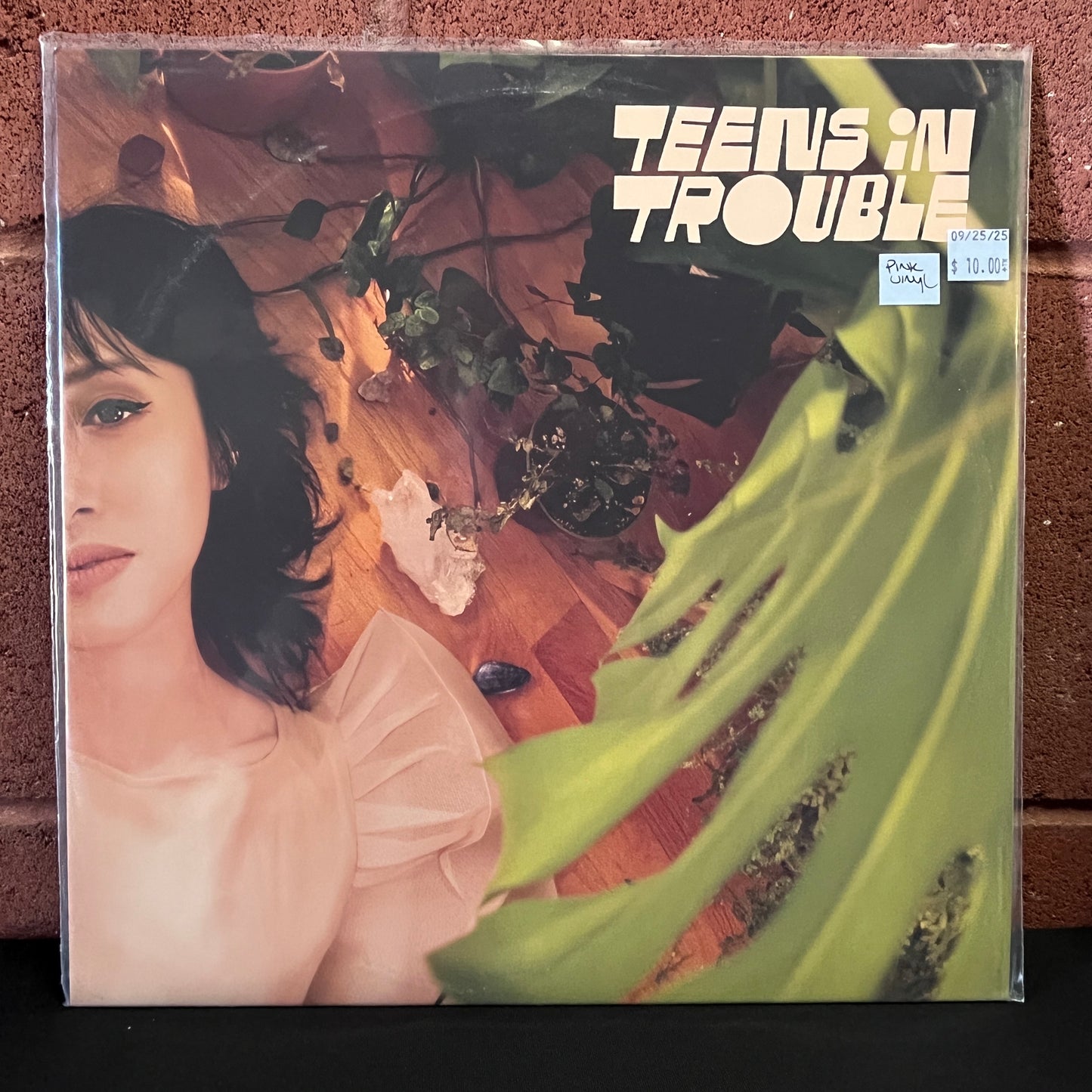 Used Vinyl: Teens In Trouble "S/T" LP (Pink Vinyl)