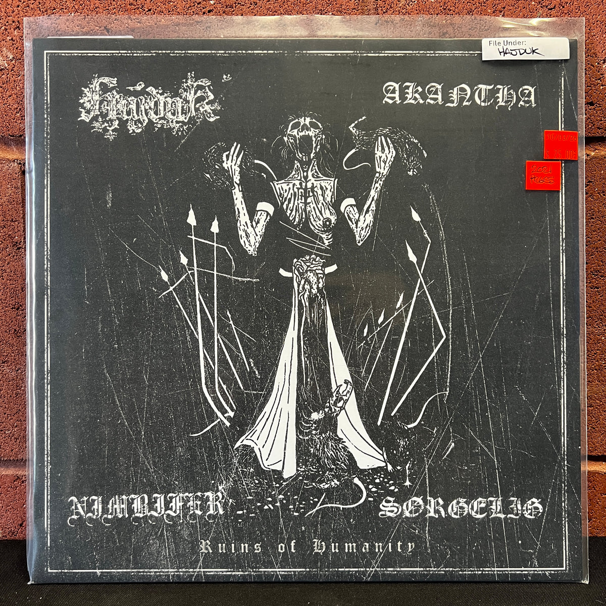 Used Vinyl: Hajduk / Akantha / Nimbifer / Sørgelig "Ruins Of Humanity" LP (2021 Press)