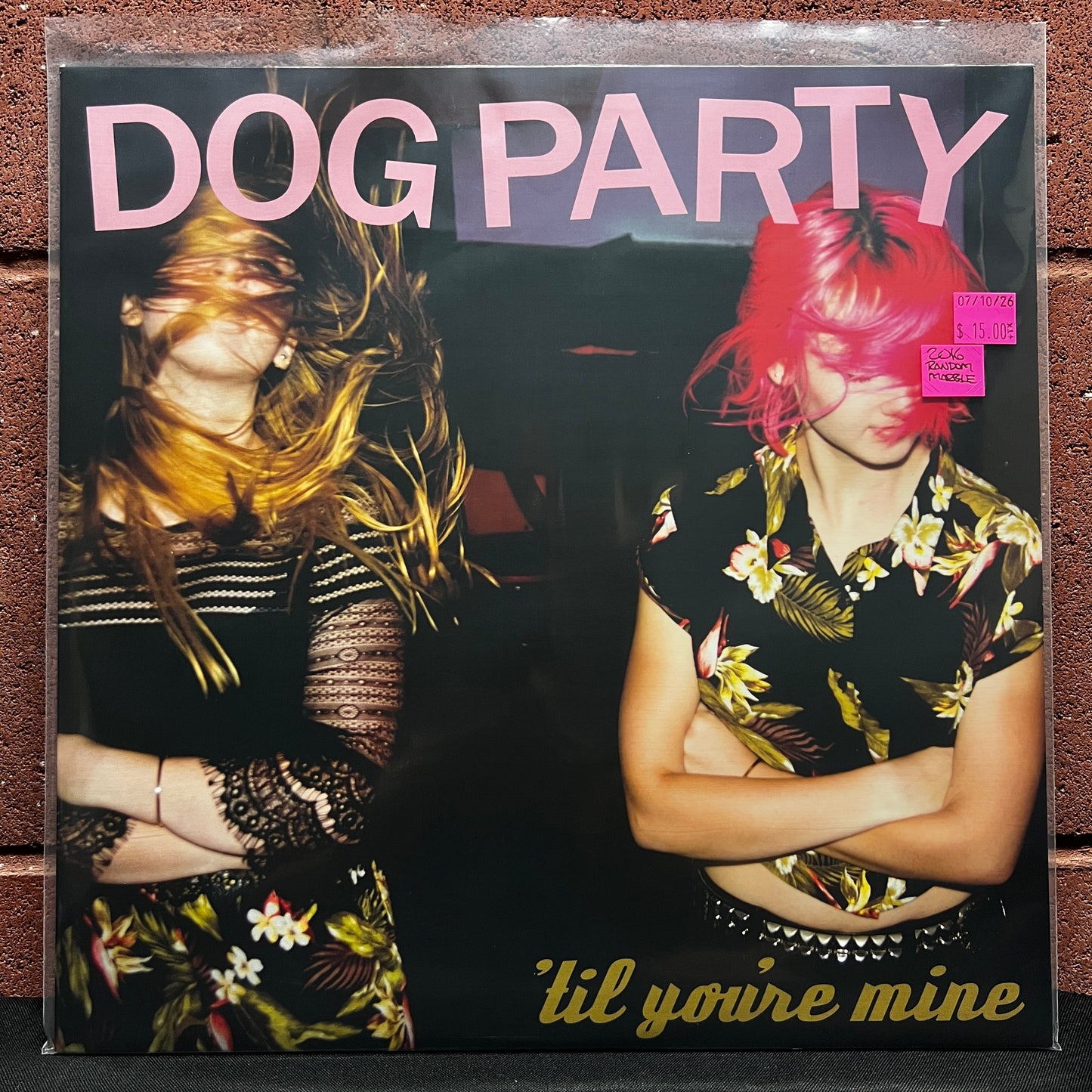Used Vinyl: Dog Party "Til You're Mine" LP (2016 Press - Random Color Vinyl)