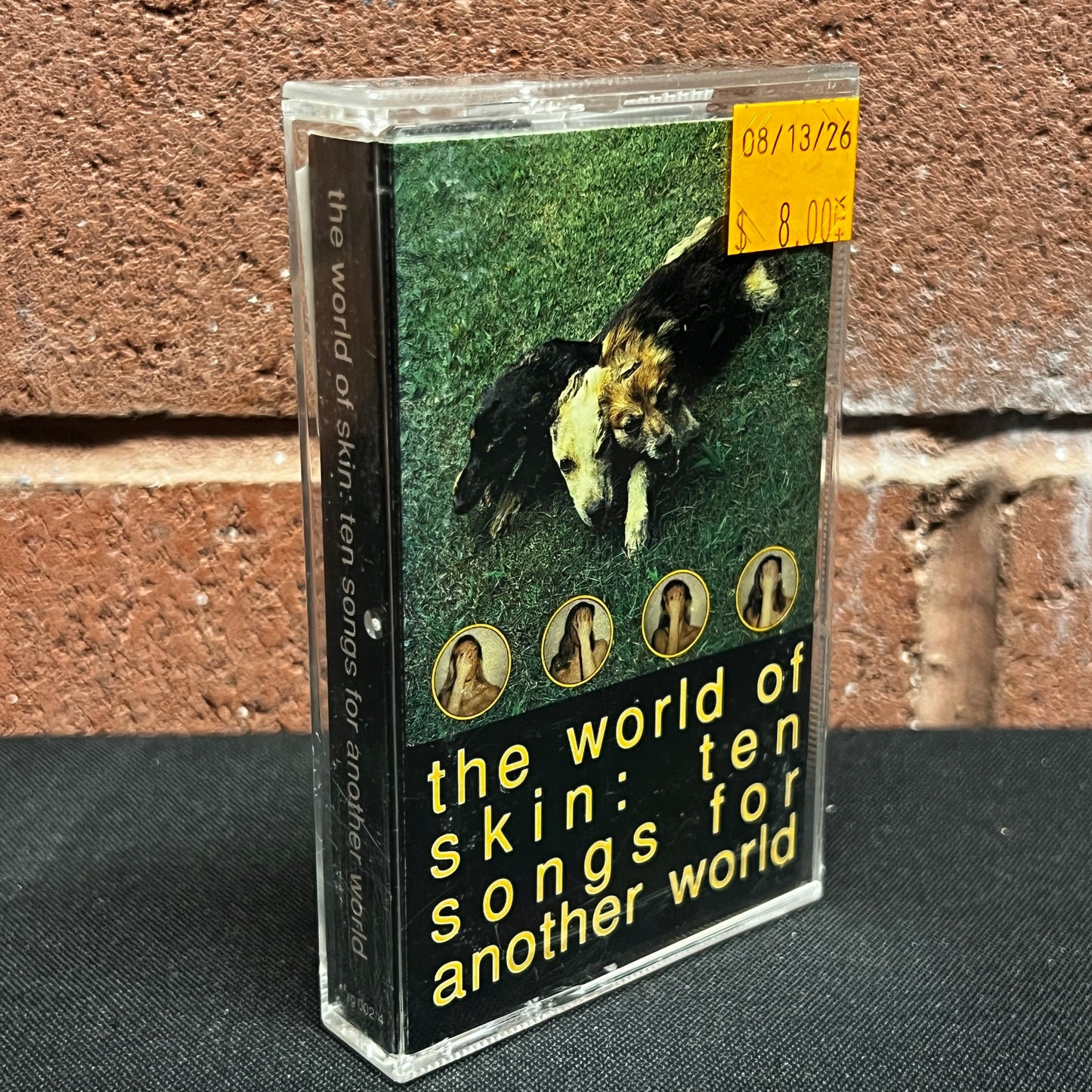 Used Cassette: The World Of Skin (Skin) "Ten Songs For Another World" Tape